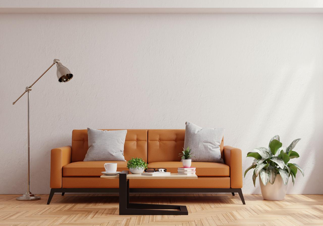 Canapeaua – Cum se intretine corect in functie de material img.1