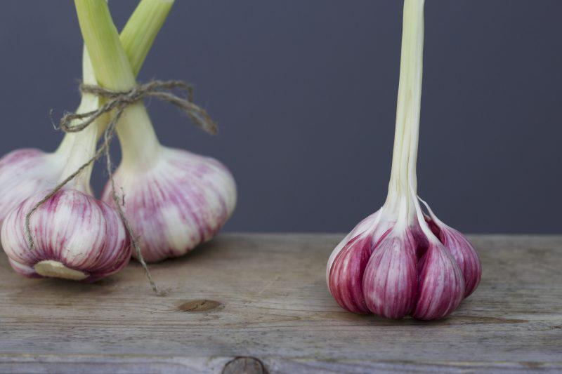 Cultura de usturoi – Informatii utile img.2