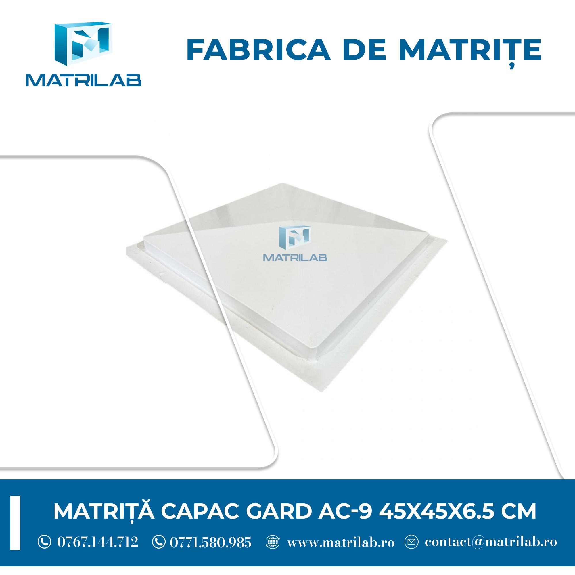 Cum alegi un gard potrivit pentru locuinta ta img.2