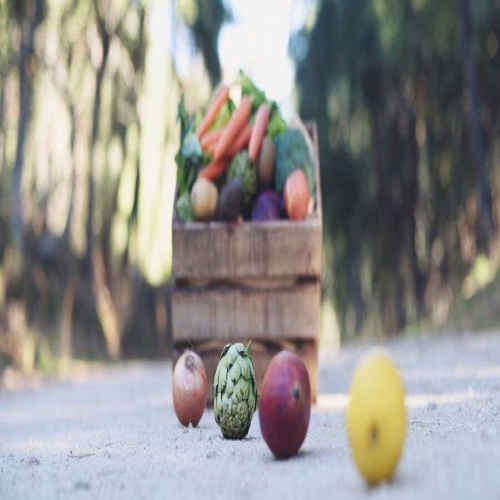 Depozitarea legumelor. Sfaturi de pastrare