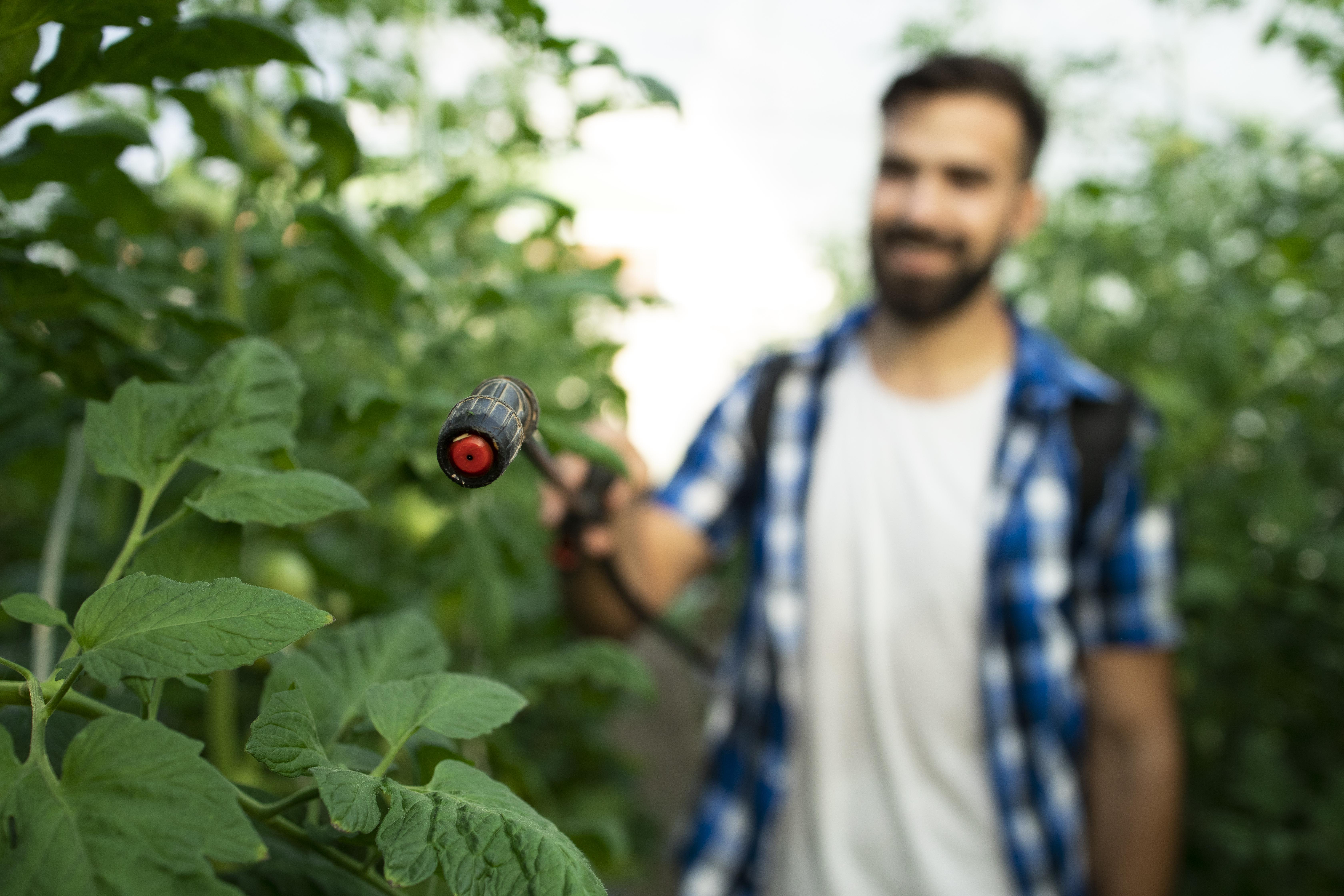 Erbicidarea preemergenta – Beneficii si cum se aplica corect img.1