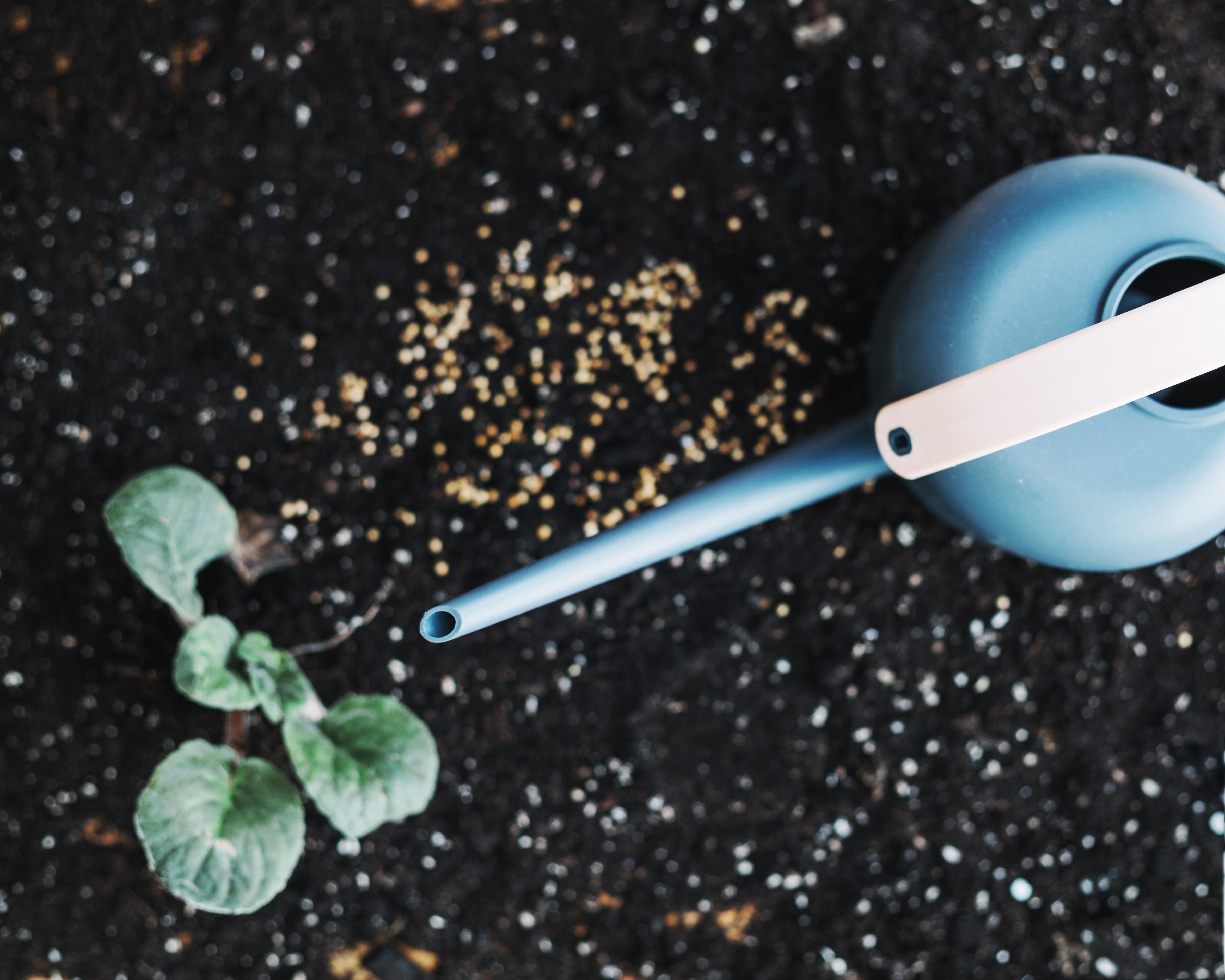 Fertilizarea culturilor agricole. Importanta si sfaturi img.2