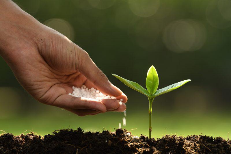 Fertilizarea Solului – Informatii de baza img.2