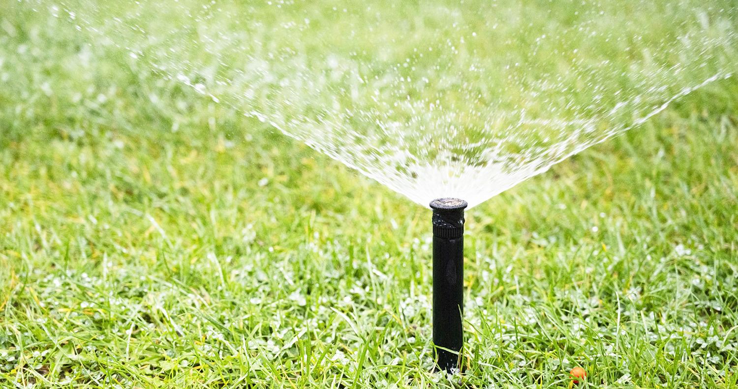 Irigarea în grădină – Cum poți instala un sistem de irigare img.1