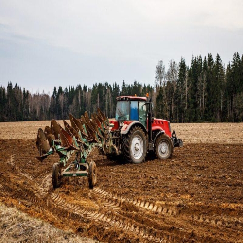 Plugul - Cum să îl alegi