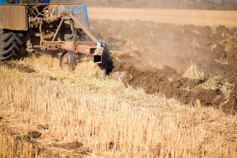 Plugul - Cum să îl alegi img.1