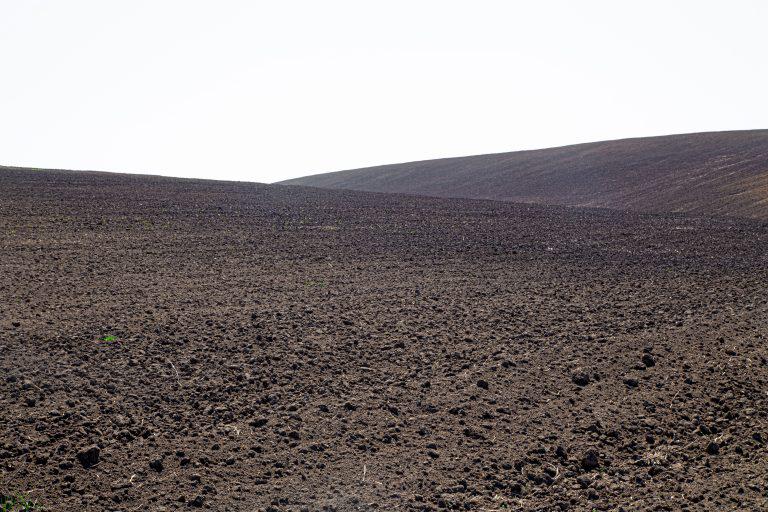 Plugul – utilajul agricol potrivit pentru curatarea solului img.1