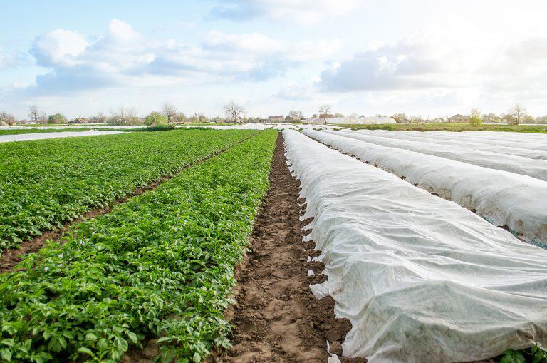 Rotatia culturilor – De ce este benefica si cum se realizeaza img.2