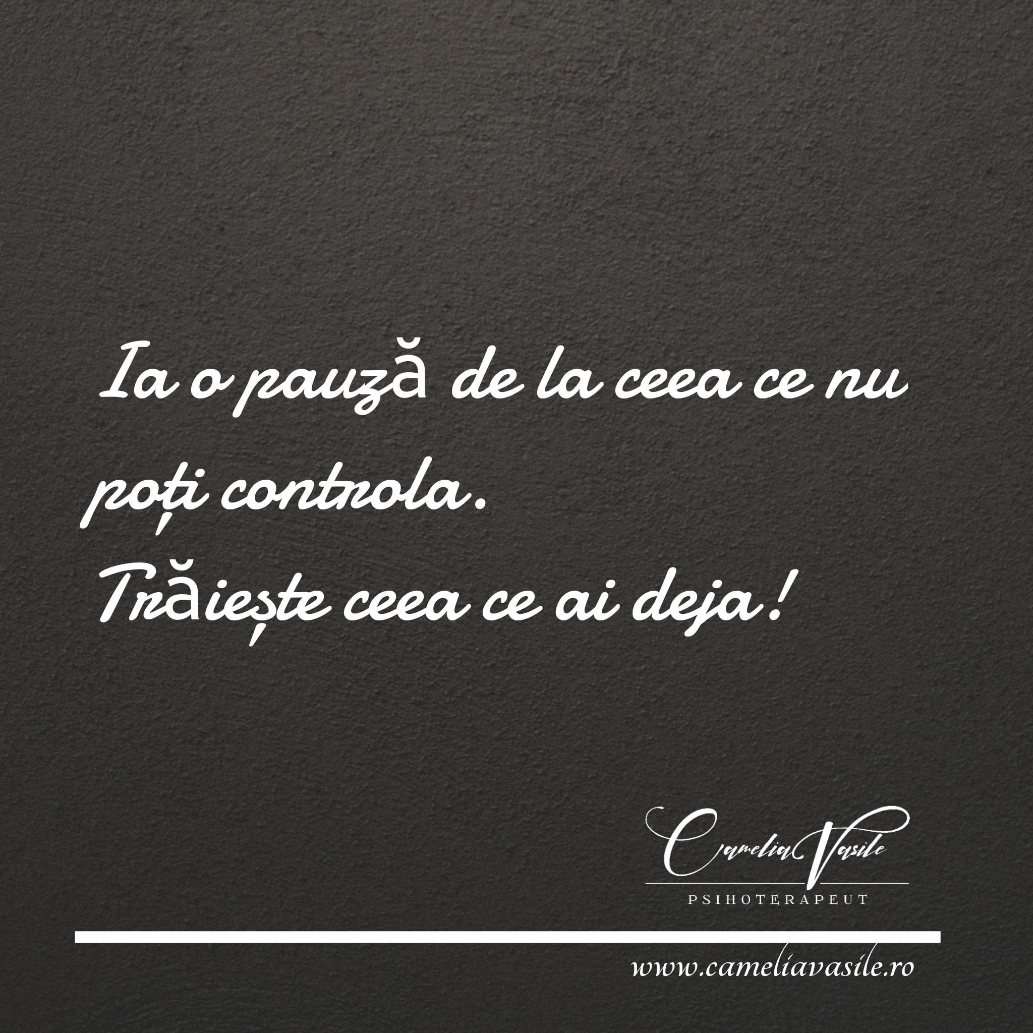 Camelia Vasile img.5