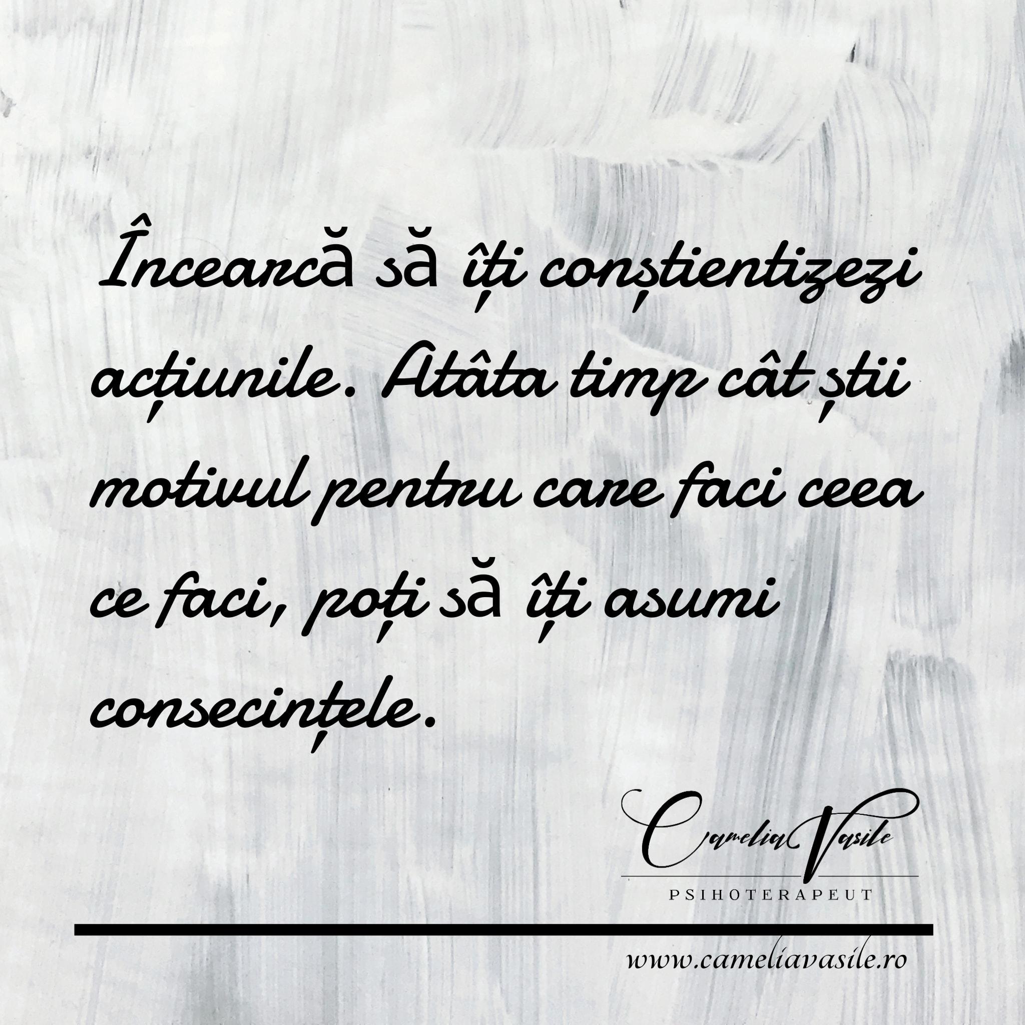 Camelia Vasile img.4