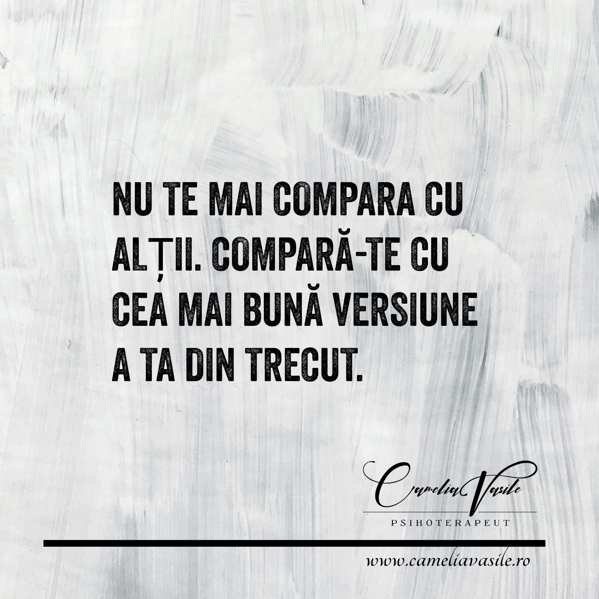 Camelia Vasile img.3