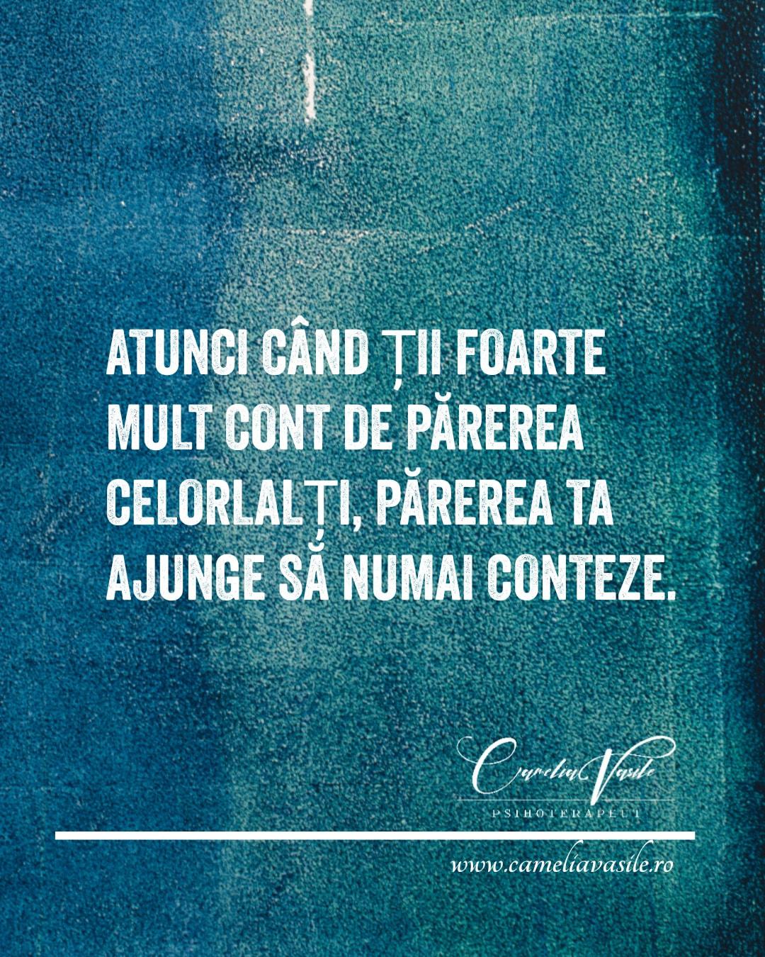 Camelia Vasile img.2