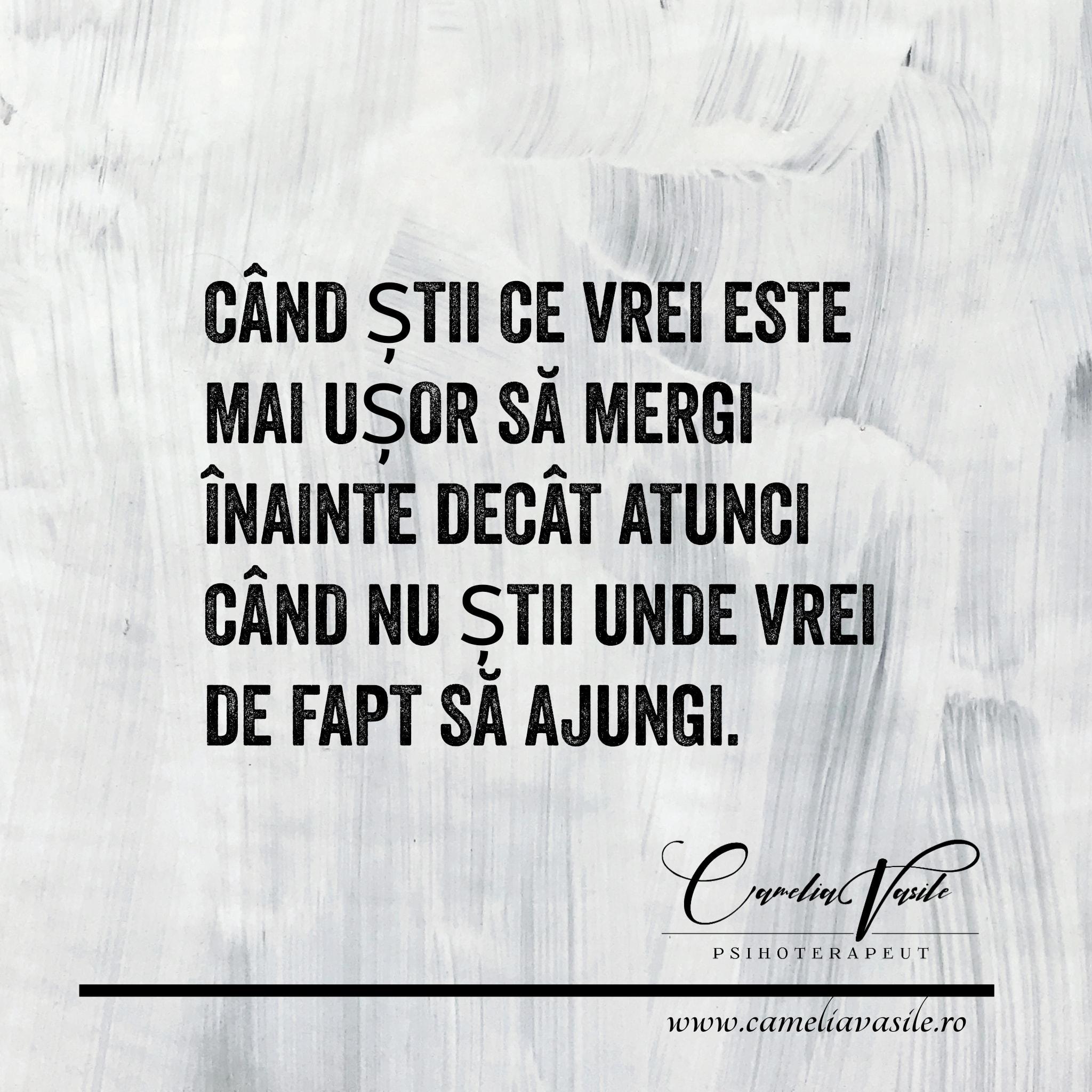 Camelia Vasile img.1