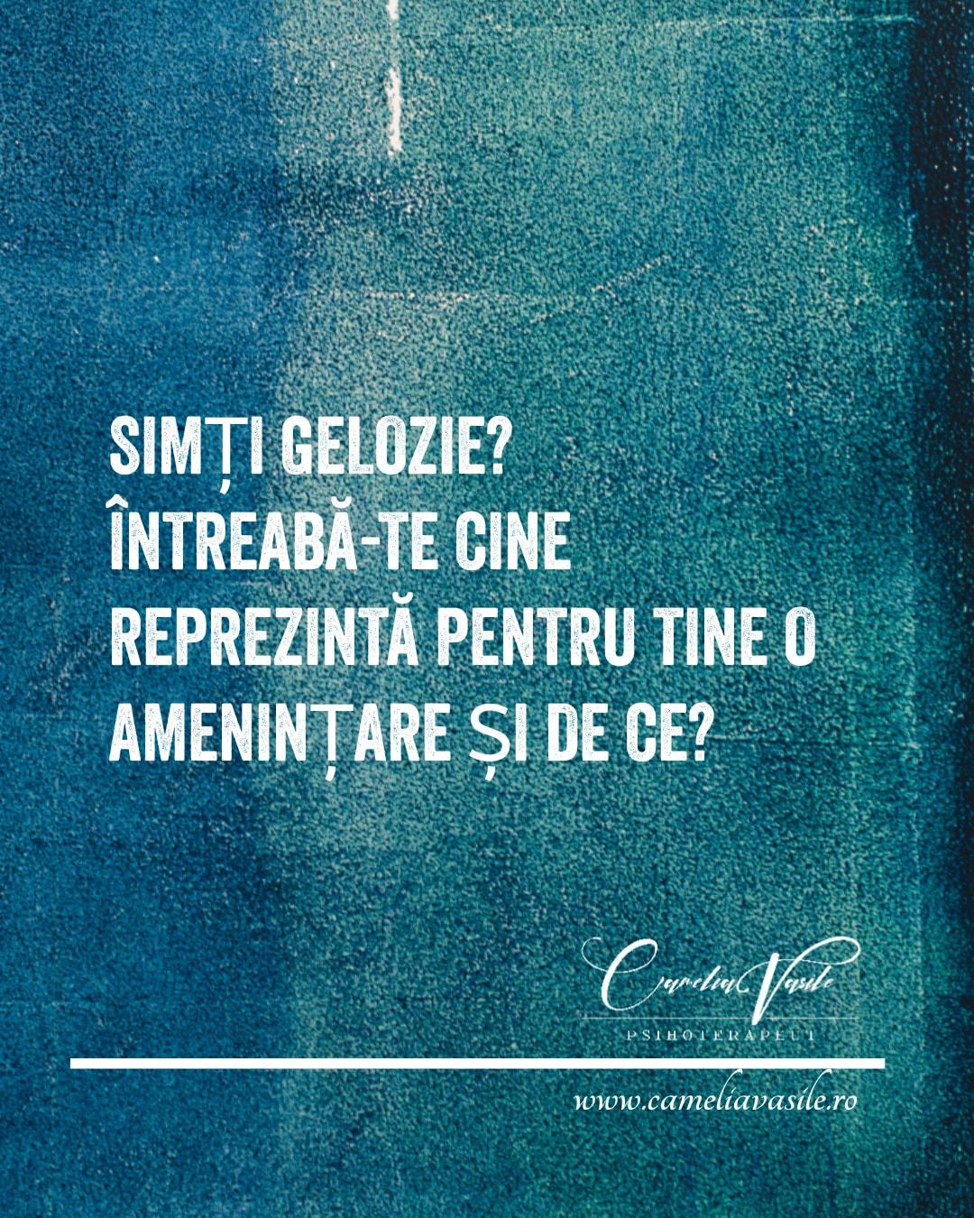 Camelia Vasile img.0