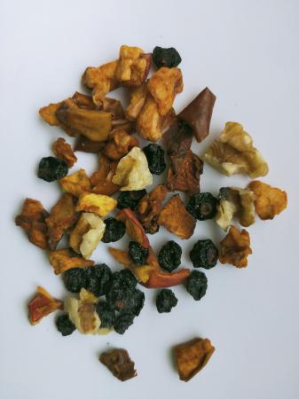 Porolissum img.5