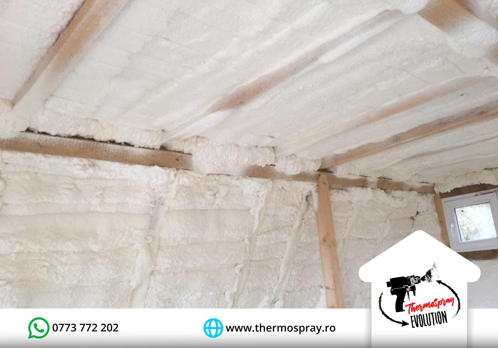 THERMOSPRAY img.2